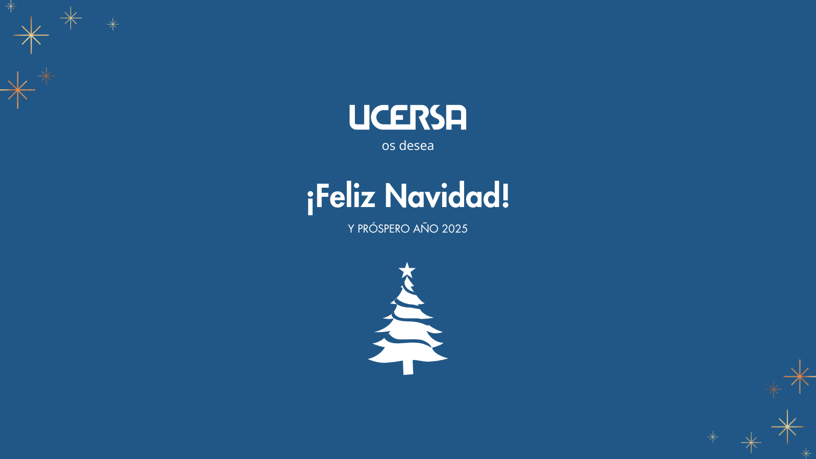 ¡Feliz Navidad y próspero año 2025!