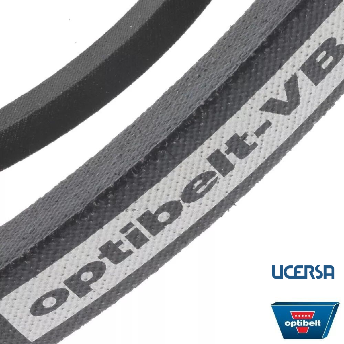 Correas distribución