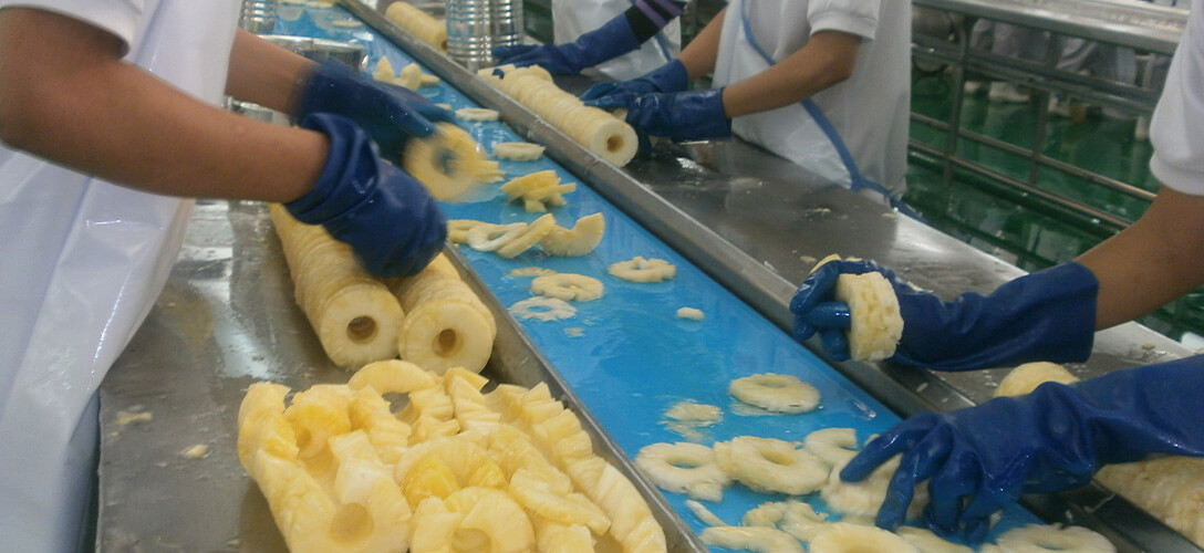 Cómo mejorar la higiene y durabilidad de las bandas en el procesamiento de frutas cítricas